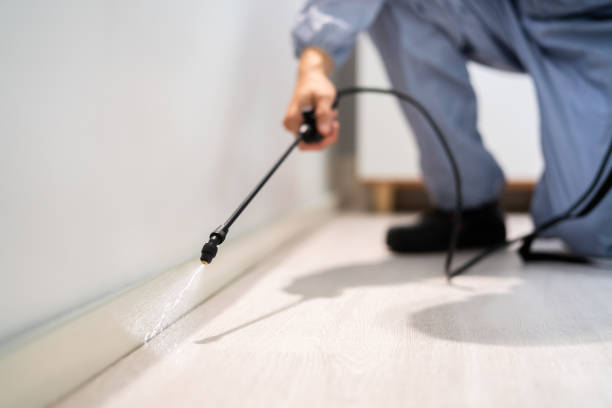 Licensed Pest Control service in Woods Hole, MA - Show Me Pest Control