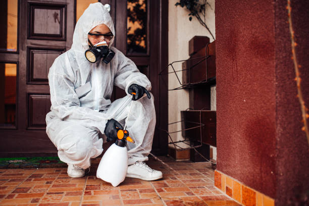 Reliable Wasp Removal contractor in Woods Hole, MA by Show Me Pest Control